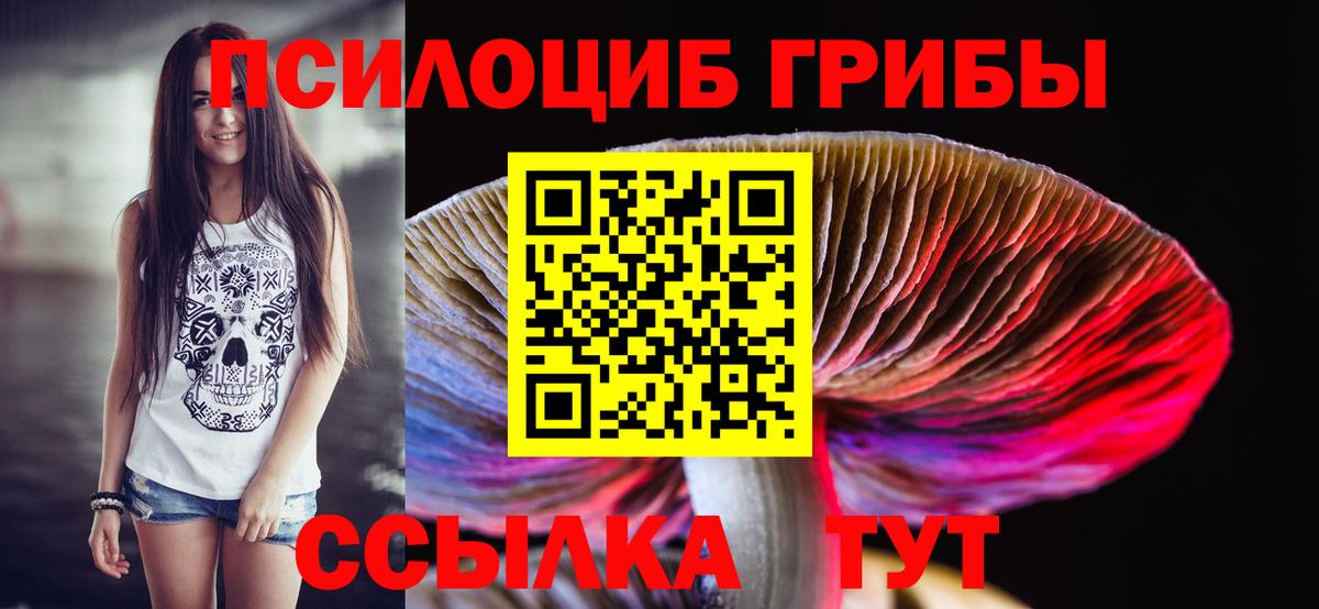 Первоуральск  даркнет сайт  Вход с VPN  Псилоцибиновые грибы прущие грибы 