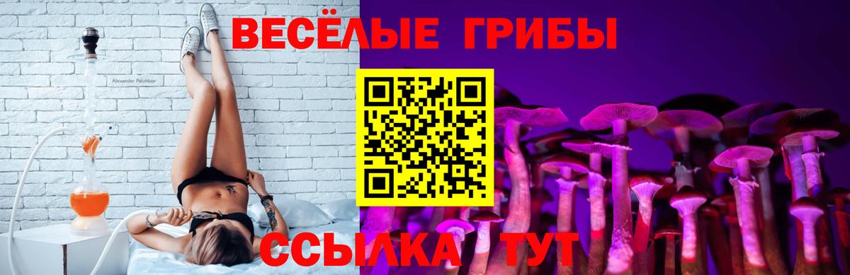 Галлюциногенные грибы Psilocybe Первоуральск